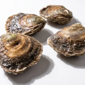 Ostra plana Nº 00 de Atxega