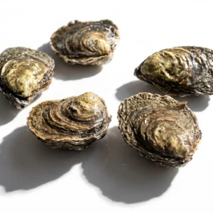 Ostra plana Nº 000 de Atxega