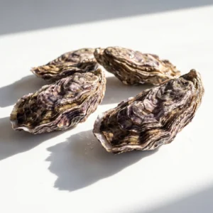 Ostra rugosa de Atxega