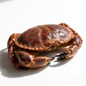 Buey de mar vivo 1–1,3 kg (Hembra) de Atxega