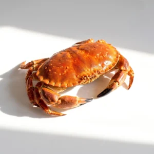 Buey de mar cocido 1–1,3 kg (Hembra) de Atxega