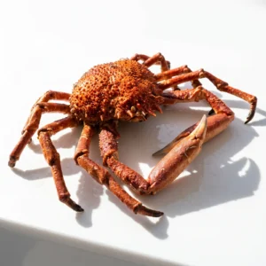 Centollo cocido 1,8–2 kg (Macho) de Atxega