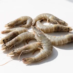 Langostino Fresco van 20/30 de Atxega