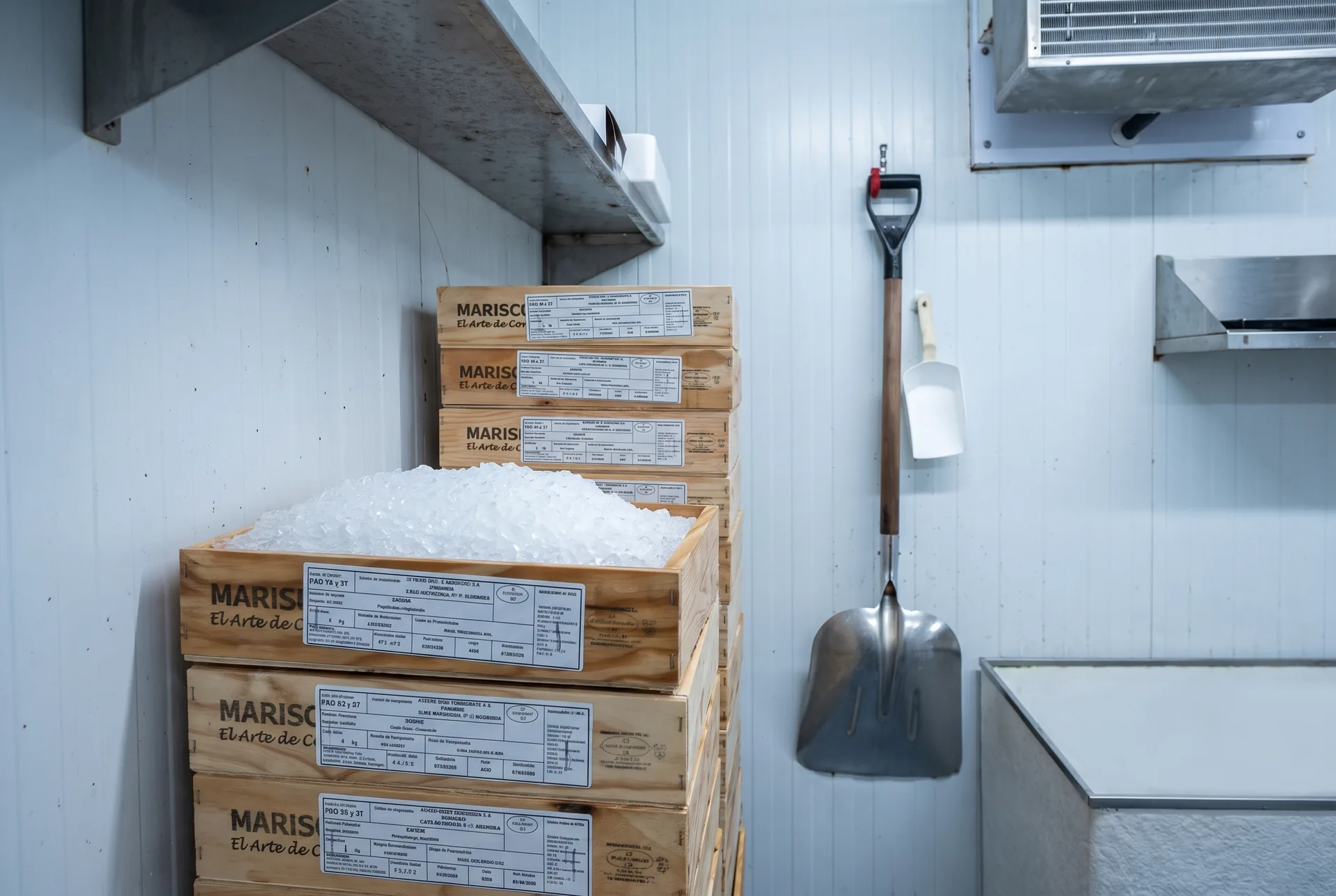 Cajas de marisco con hielo en la cámara de Atxega